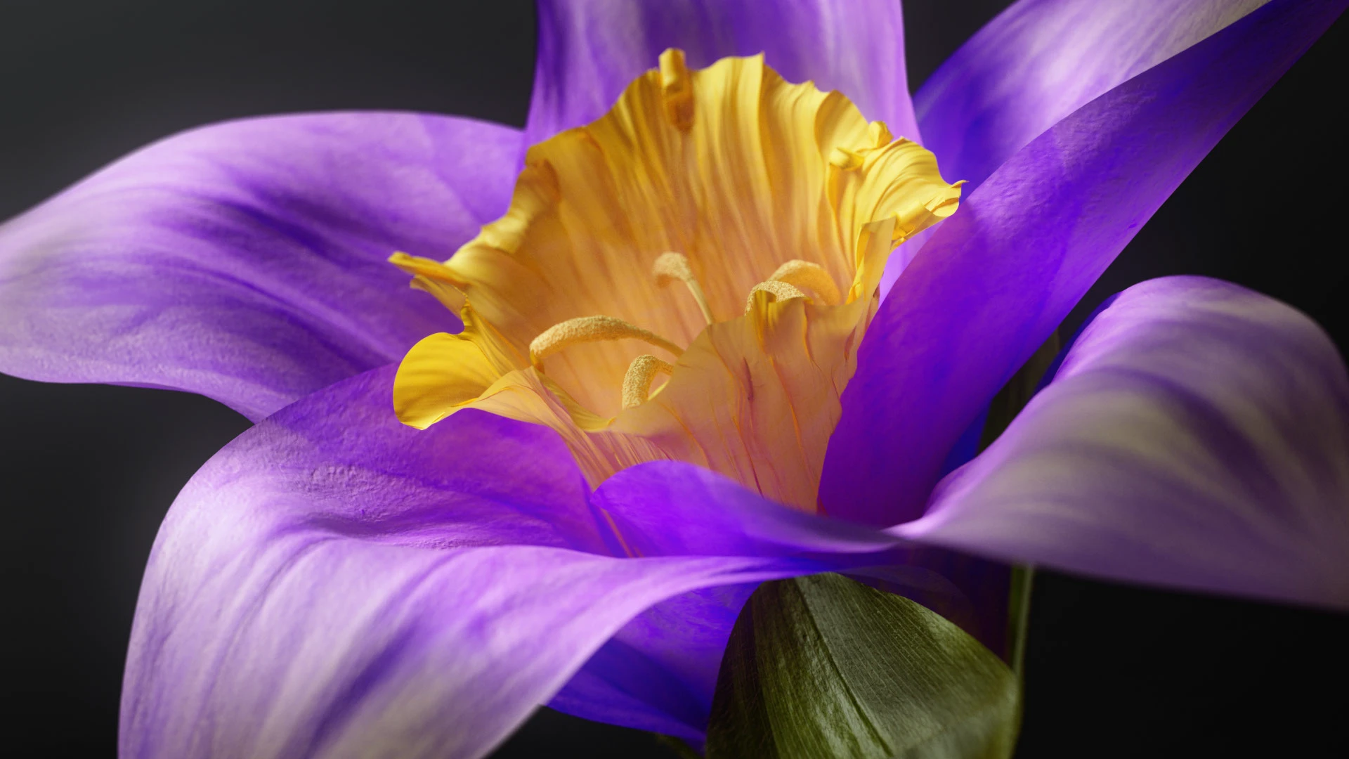 NEA Studio 3D CGI render, photorealistic purple and yellow flower close-up for Living Mesh environmental product innovation case study by VML Colombia