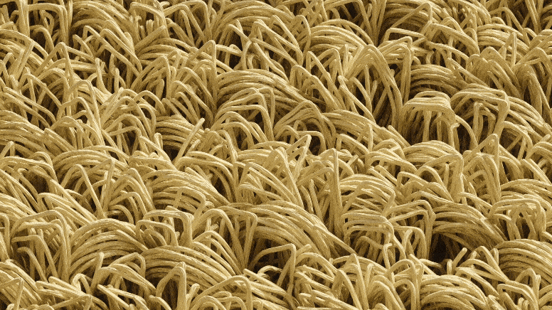 NEA Studio 3D Houdini simulation, extreme close-up of Living Mesh fique fiber textile weave structure for Cannes Lions Bronze environmental innovation project by VML Colombia